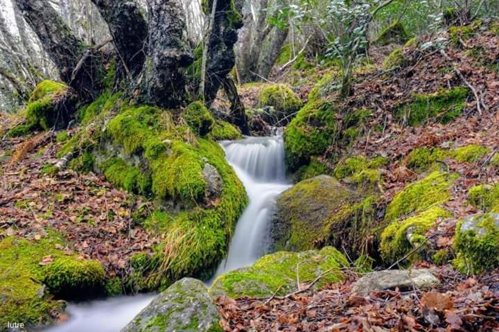 Вілла Casa Rural Las Nieves San Ciprian  Екстер'єр фото